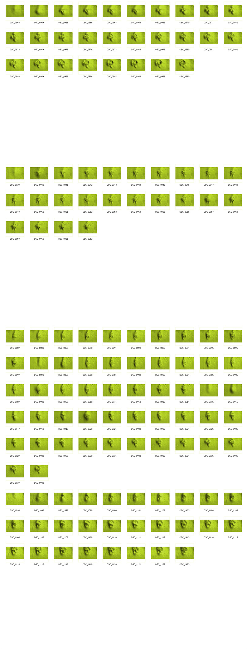 umwelt